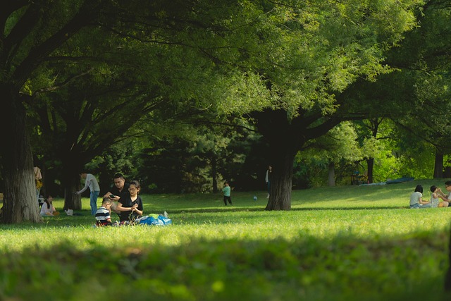 Familias de dos colegios de Zaragoza denuncian «trabas» para climatizar las aulas: «Si conectamos todos los aparatos a la vez saltan los diferenciales» – El Periódico de Aragón
