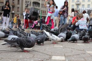 Guarderías Públicas en Zaragoza: Cómo Conseguir Plaza Paso a Paso