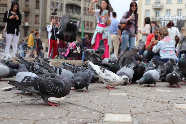 Guarderías Públicas en Zaragoza: Cómo Conseguir Plaza Paso a Paso
