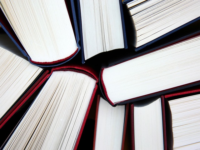 Subvenciones para Libros de Texto en Aragón: Ayudas, Requisitos y Plazos