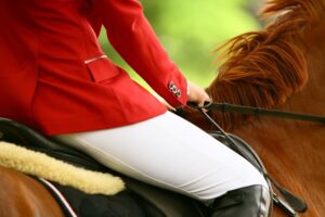 Hípica y Equitación para Niños en Zaragoza: Centros, Precios y Niveles