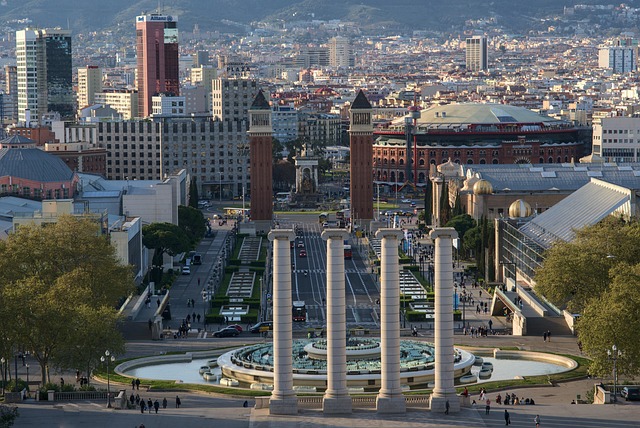 Tipos de Oposiciones en España: Categorías, Cuerpos y Cómo Elegir la Tuya