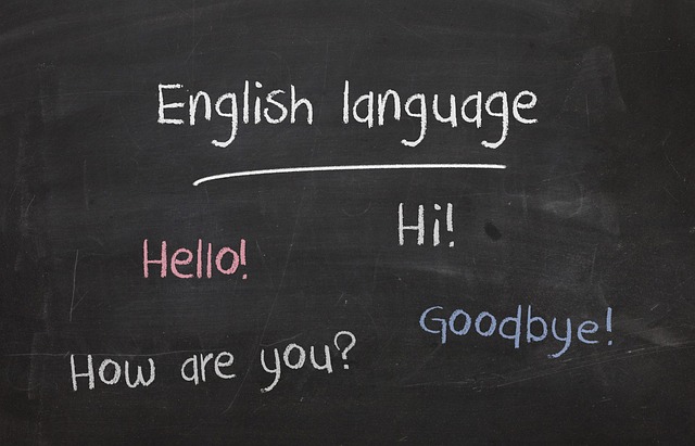 Escuela Oficial de Idiomas en Zaragoza: Qué Es, Precios y Cómo Matricularte